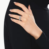 Evergreen Silver Ring